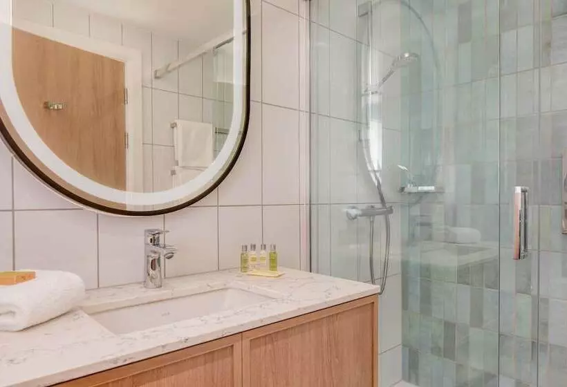 اتاق لوکس با تخت بزرگ, Hilton Dublin Airport