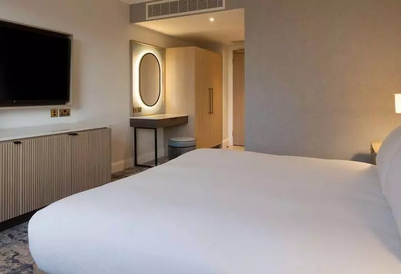اتاق لوکس با تخت بزرگ, Hilton Dublin Airport