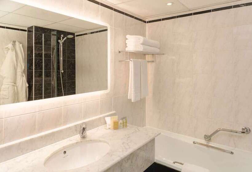 디럭스 룸, Hilton Dublin Airport