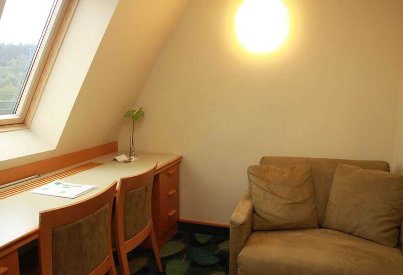 اتاق استاندارد, Kristal  Terme Krka