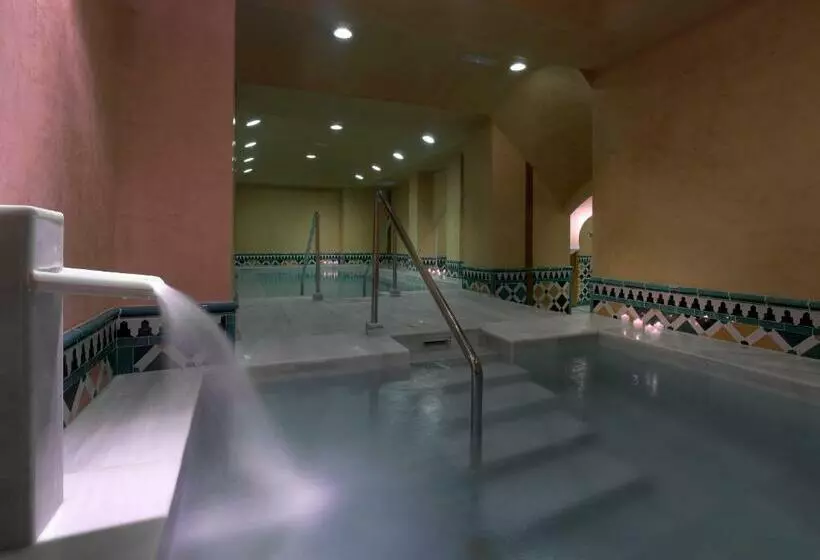 اتاق استاندارد با دسترسی به اسپا, Macia Real De La Alhambra