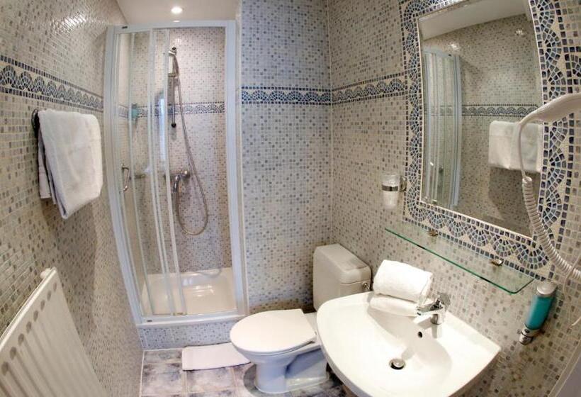 اتاق سوپریور سه تخته, Midizuid