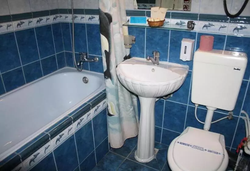 Standard Single Room, Triumph