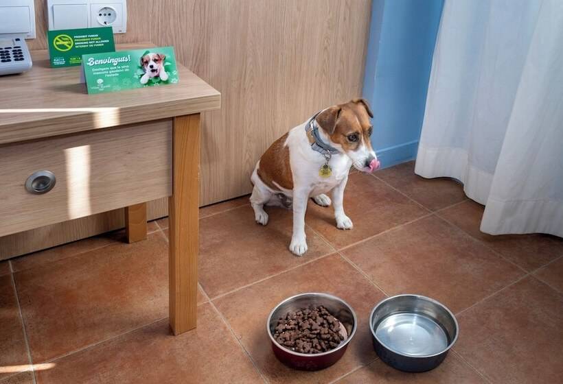 غرفة قياسية, Vilar Rural D Arnes By Serhs Hotels