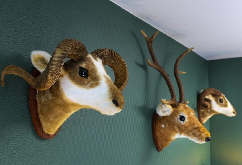 Номер Superior, Wyndham Garden Donaueschingen