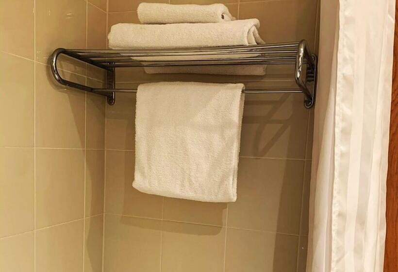 高级单人间, Maldron Hotel Portlaoise