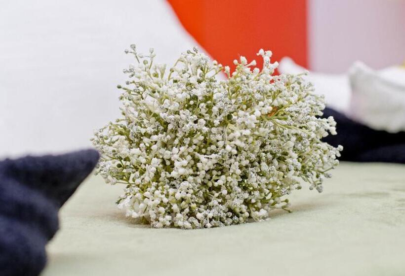 スタンダードシティビュールーム, Barcelona City North Hostal