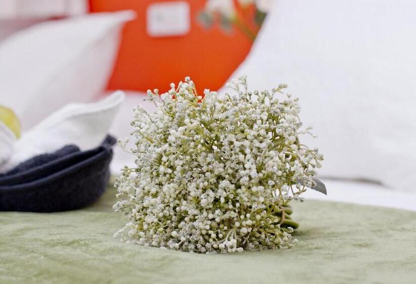 スタンダードシティビュールーム, Barcelona City North Hostal