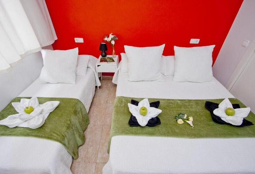 スタンダードシティビュールーム, Barcelona City North Hostal