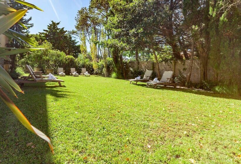 סוויטה דלוקס, Awa Boutique + Design