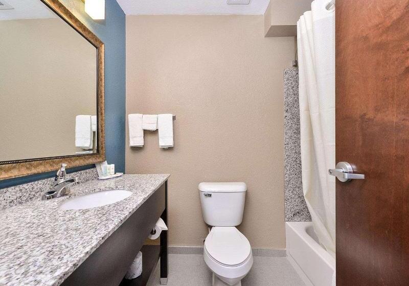 标准间, Dan Inn Express Ribeirao Preto