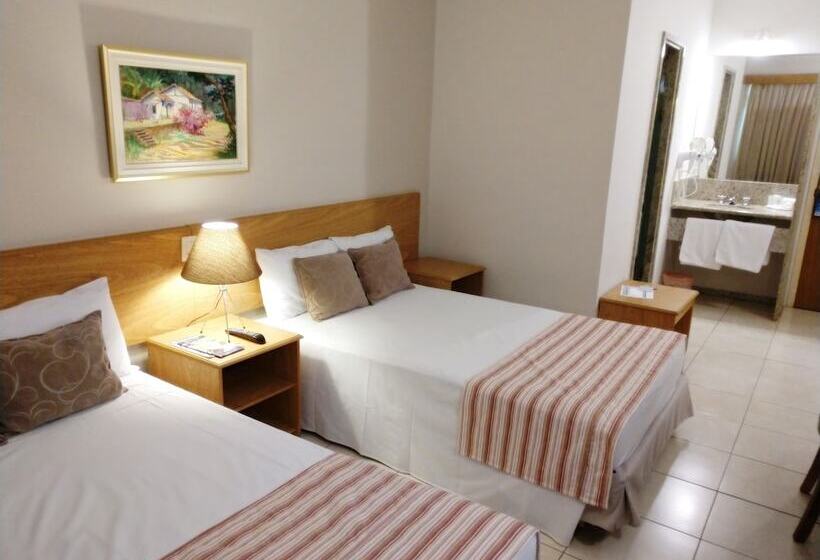 شقة غرفة واحدة, Dan Inn Franca & Convenções