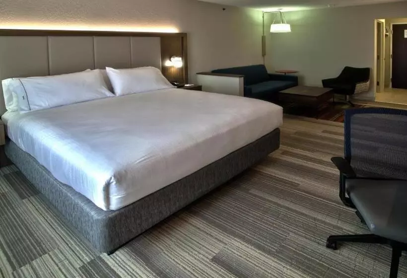 キングサイズベッドのスイートルーム, Holiday Inn Express & Suites Evansville North, An Ihg