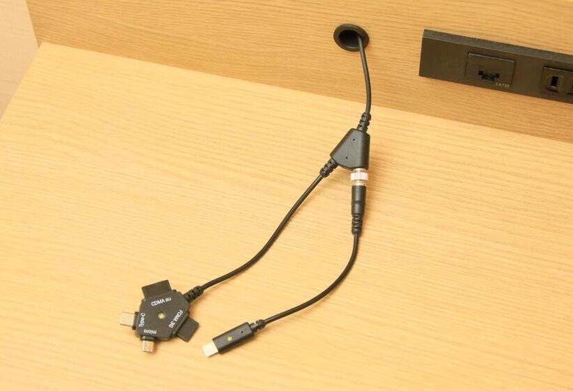 חדר סטנדרט, Nihonbashi Saibo