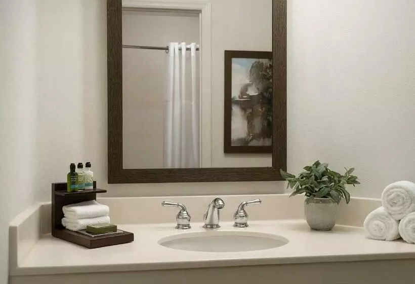 ツーベッドルーム　ヴィラ, Caribe Royale Orlando