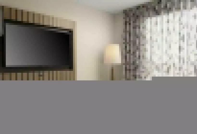Suite King Bed