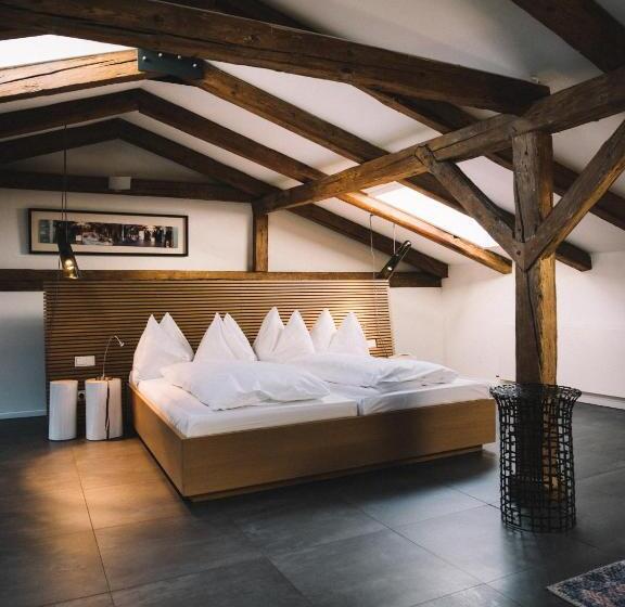 복층 룸, Arthotel Blaue Gans