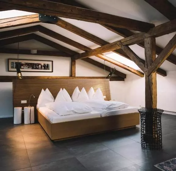 اتاق دوبلکس, Arthotel Blaue Gans