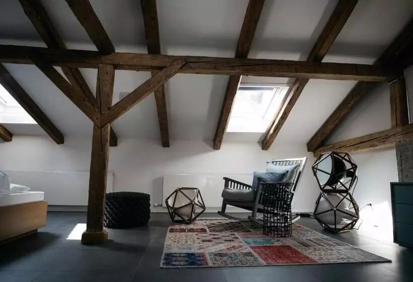 اتاق دوبلکس, Arthotel Blaue Gans
