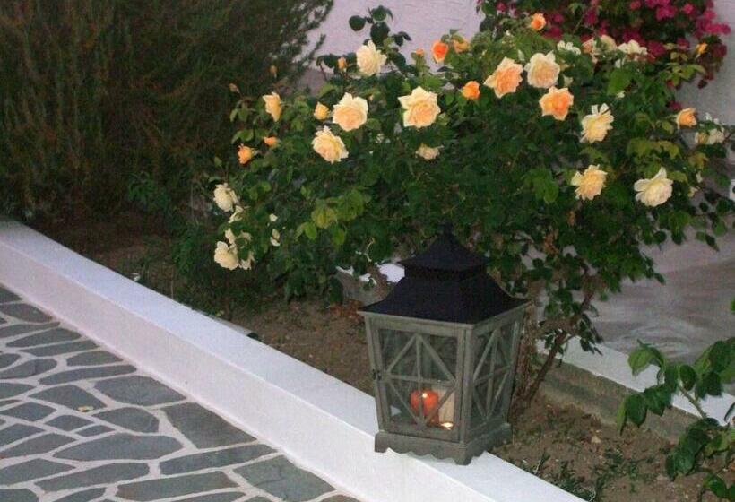 غرفة إقتصادية, Stella