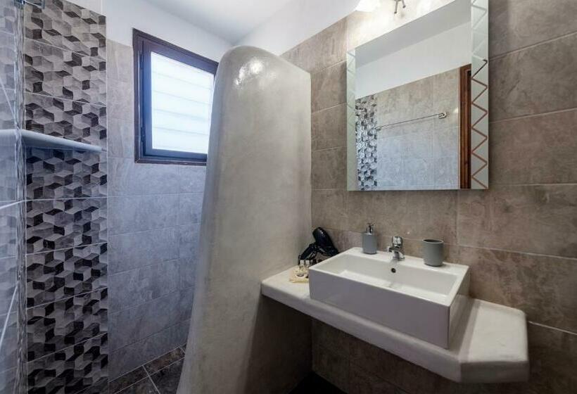 غرفة إقتصادية, Stella