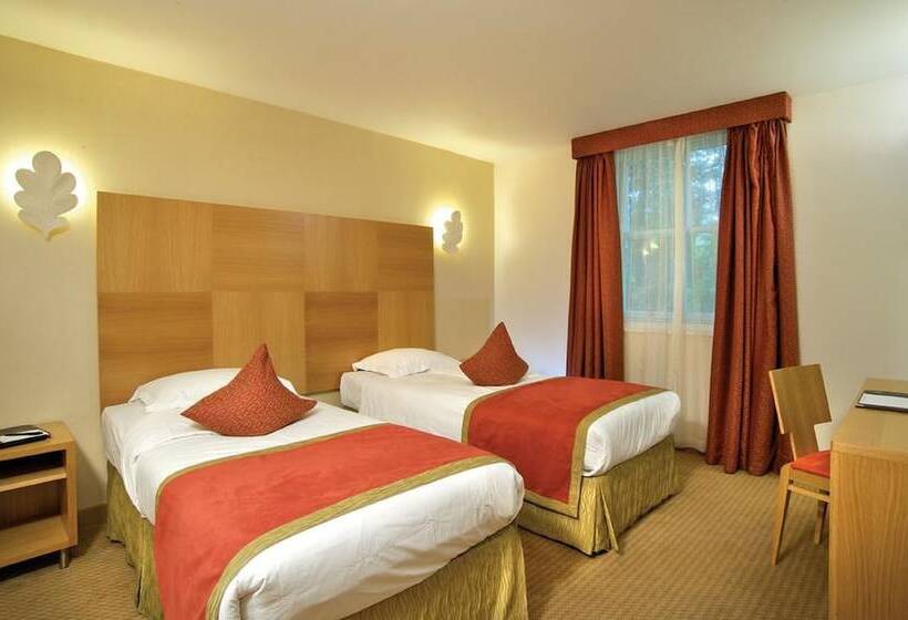 Quarto Estandar, The Pinewood