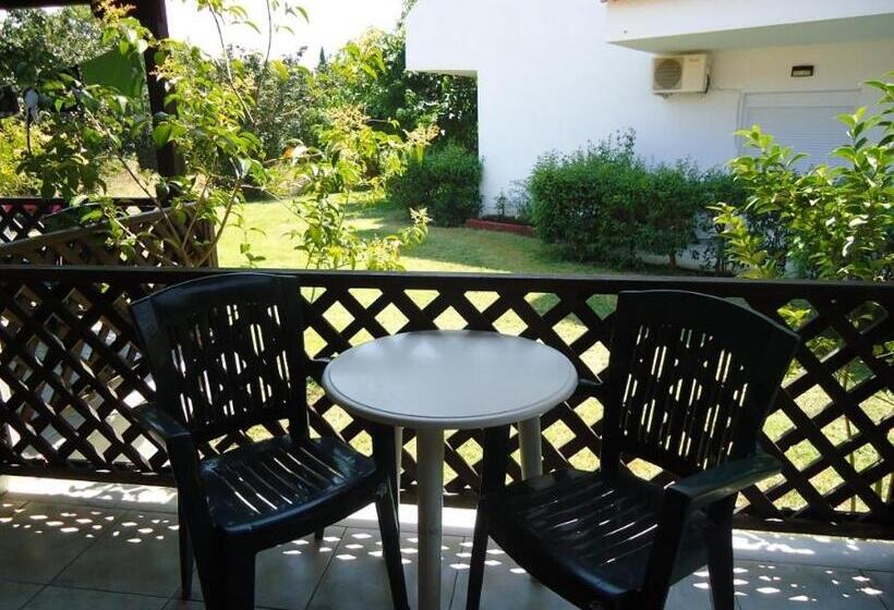 스탠다드 스튜디오, Zachos