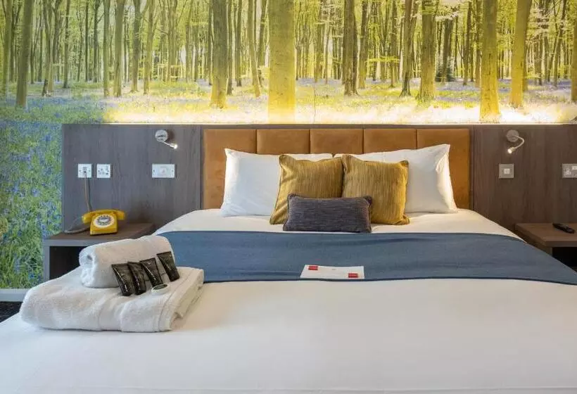 エクゼクティブルーム, Burleigh Court Hotel And Leisure