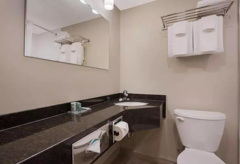 سوئیت با تخت بزرگ, Best Western Colonel Butler Inn