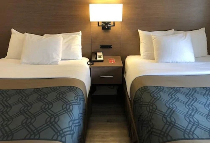 ２ダブルベッドのスタンダードルーム, Econolodge Downtown Toronto