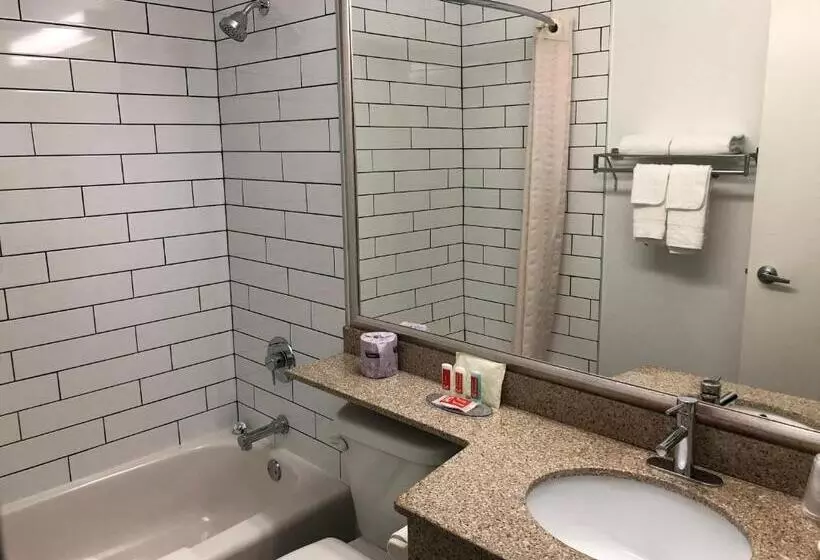 اتاق استاندارد, Econolodge Downtown Toronto