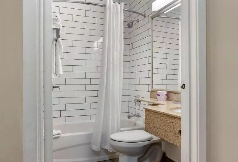 اتاق استاندارد با 2 تخت دوبل, Econolodge Downtown Toronto
