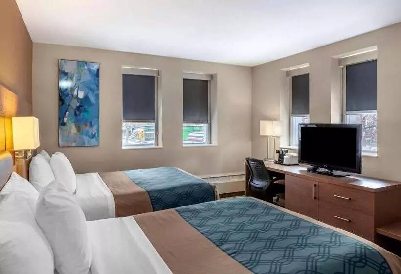 اتاق استاندارد با 2 تخت دوبل, Econolodge Downtown Toronto