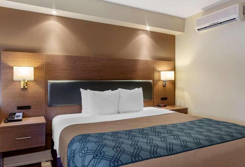 Standard Værelse King Size Seng, Econolodge Downtown Toronto