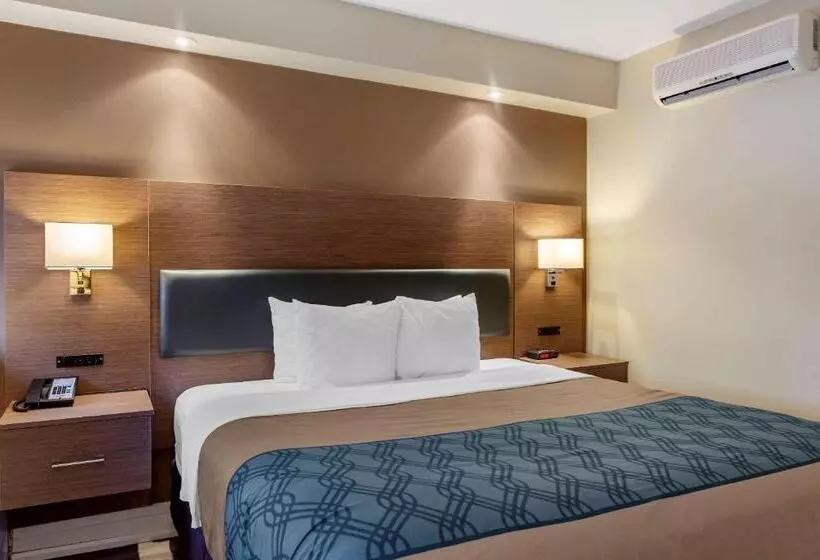 اتاق استاندارد با تخت بزرگ, Econolodge Downtown Toronto
