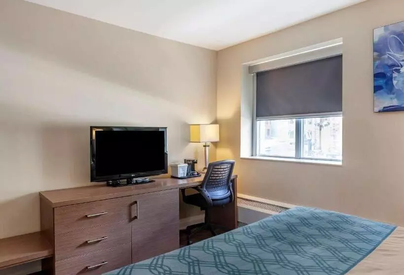 اتاق استاندارد با تخت بزرگ, Econolodge Downtown Toronto