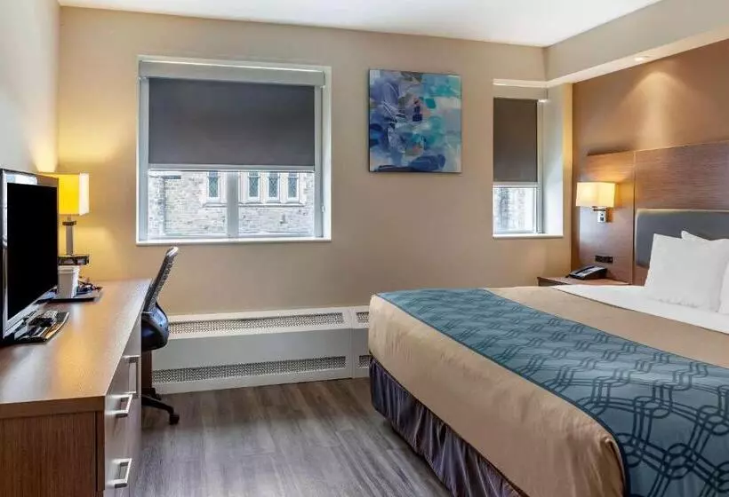اتاق استاندارد با تخت بزرگ, Econolodge Downtown Toronto