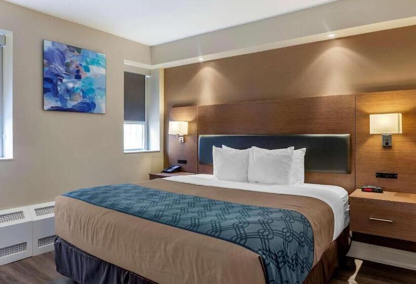キングサイズベッドのスタンダードルーム, Econolodge Downtown Toronto