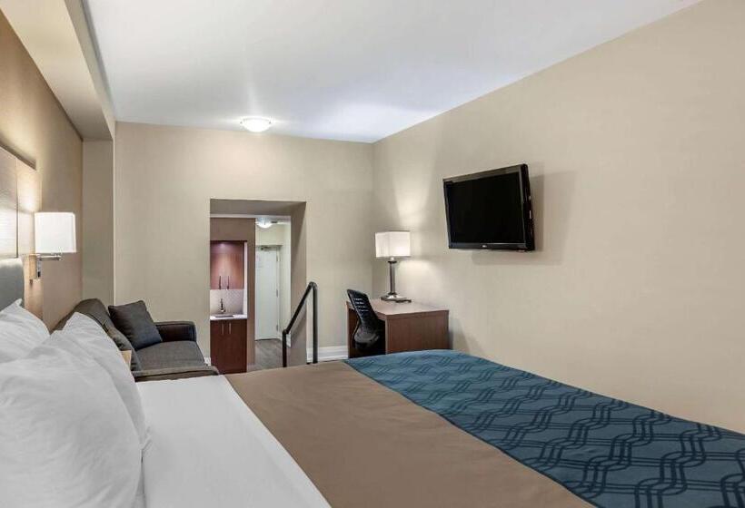 Standard Værelse King Size Seng, Econolodge Downtown Toronto