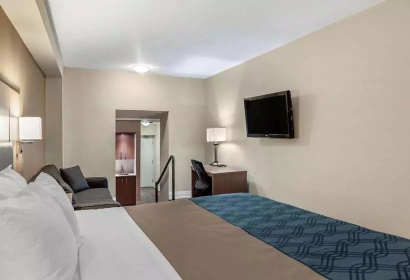 اتاق استاندارد با تخت بزرگ, Econolodge Downtown Toronto