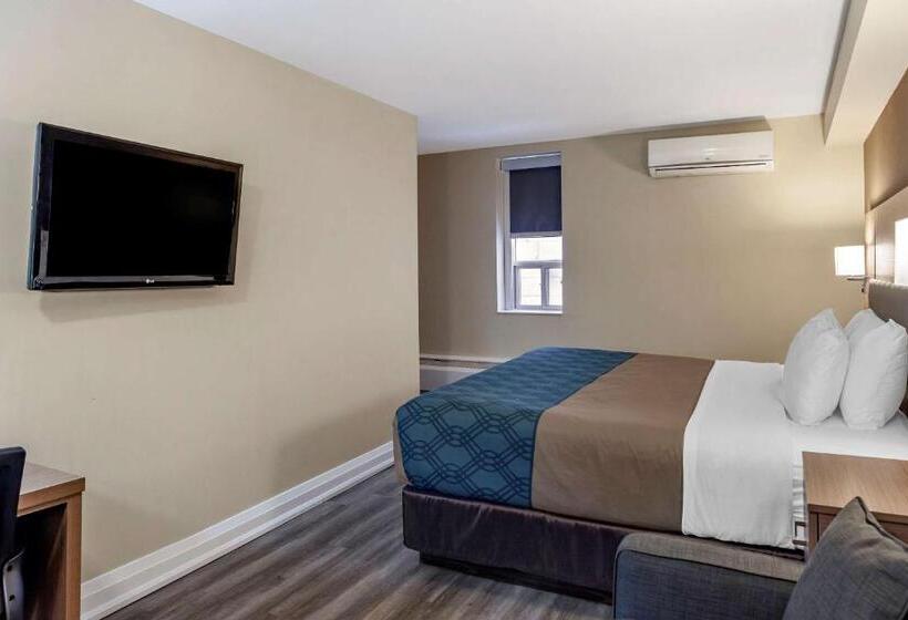 Standard Værelse King Size Seng, Econolodge Downtown Toronto