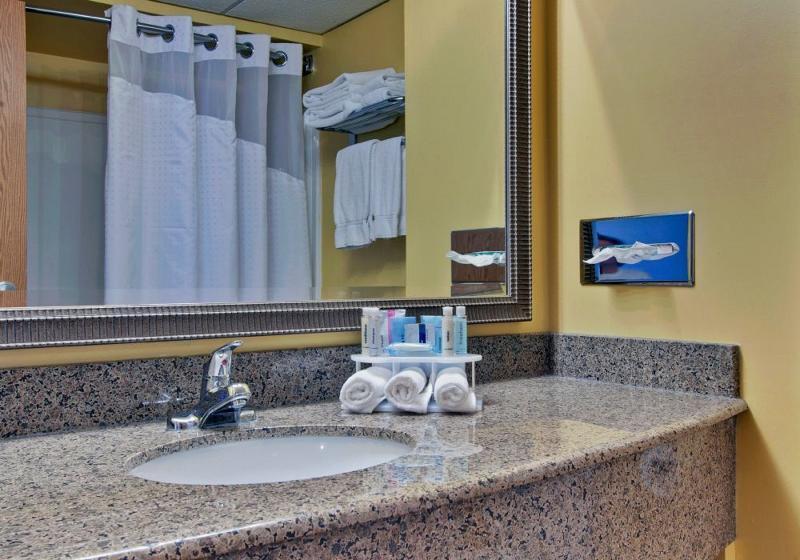 اتاق استاندارد با تخت بزرگ, Holiday Inn Express Dryden, An Ihg