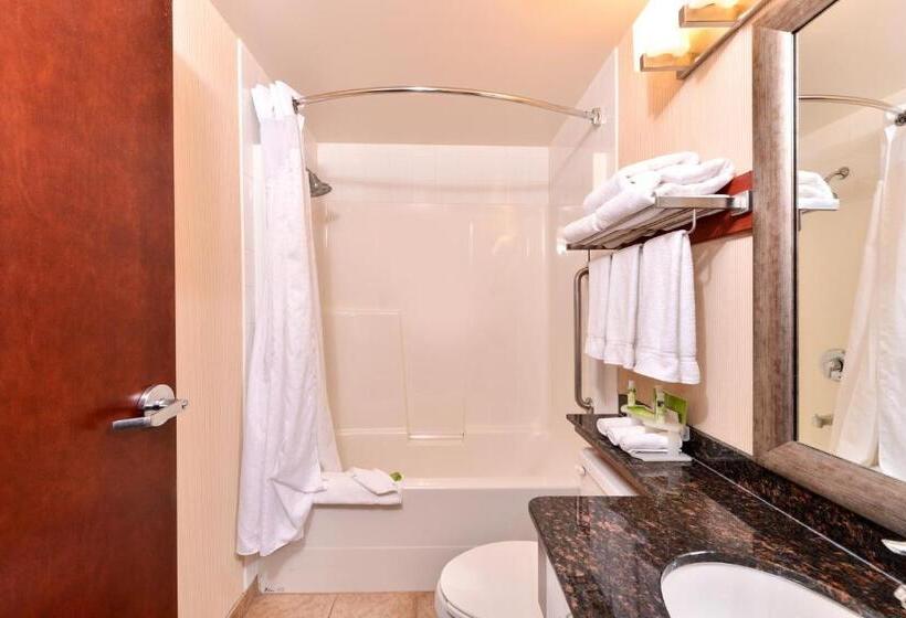 キングサイズベッドのスイートルーム, Holiday Inn Express Edmonton North, An Ihg