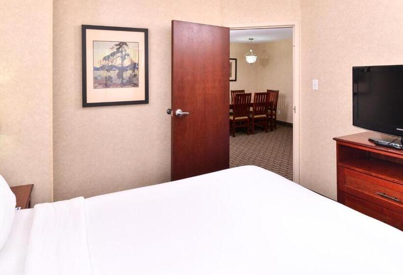 סוויטה אקזקיוטיב, Holiday Inn Express Edmonton North, An Ihg