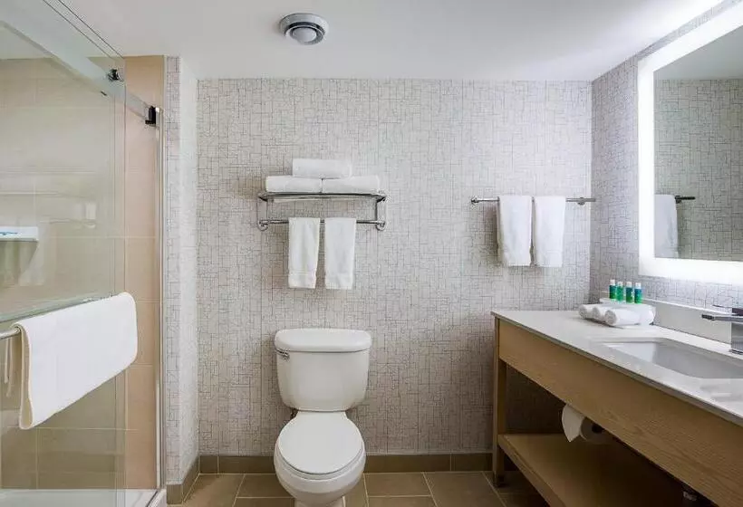 Superior-huone King-vuode, Holiday Inn Express & Suites Halifax   Bedford, An Ihg