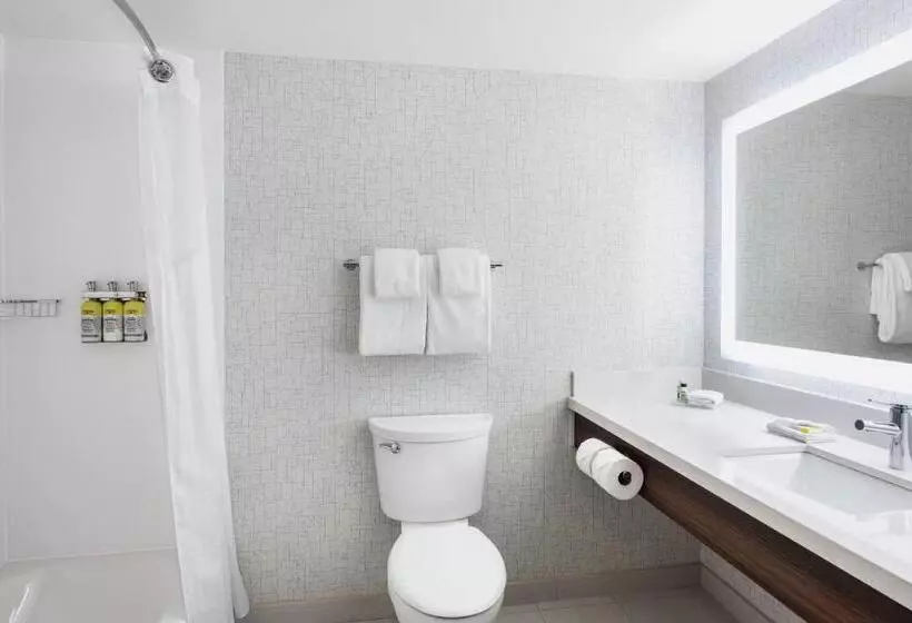 سوییت, Holiday Inn Express Hotel & Suites Saskatoon, An Ihg