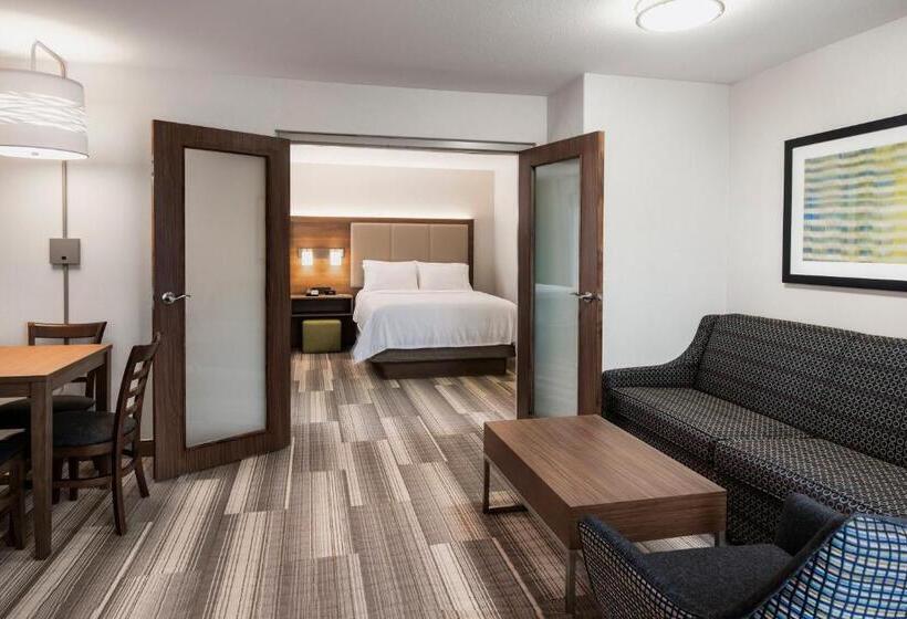 套房, Holiday Inn Express Hotel & Suites Saskatoon, An Ihg