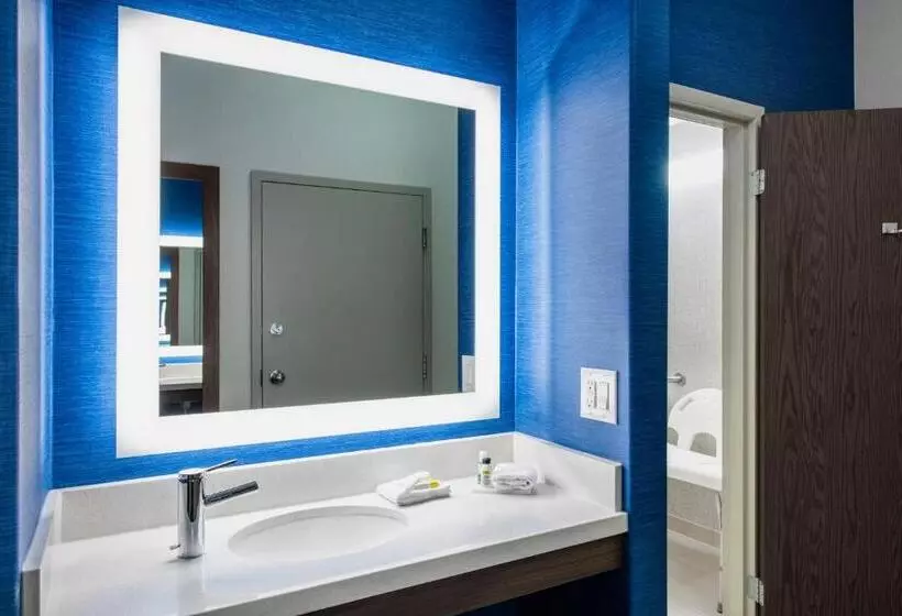 اتاق استاندارد برای معلولان, Holiday Inn Express Hotel & Suites Saskatoon, An Ihg