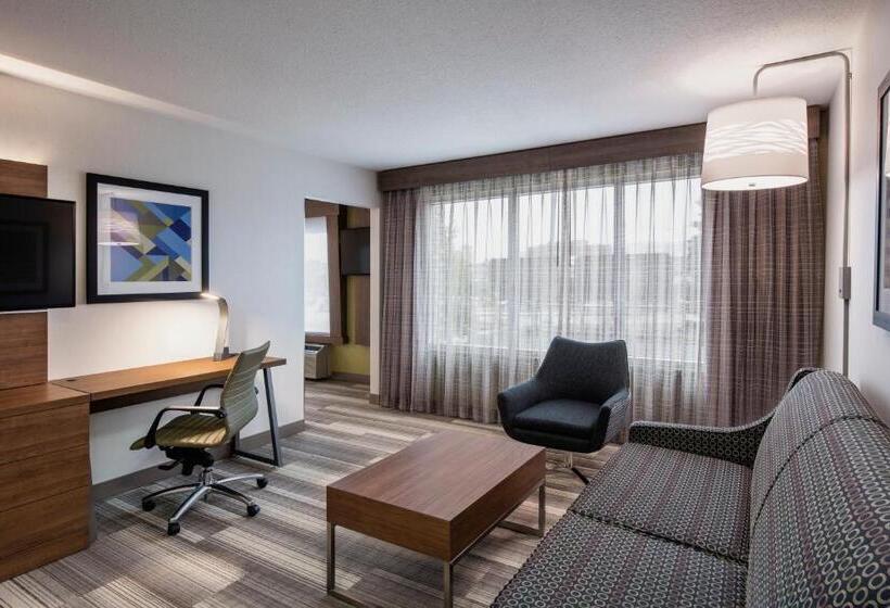 带大床的套房, Holiday Inn Express Hotel & Suites Saskatoon, An Ihg
