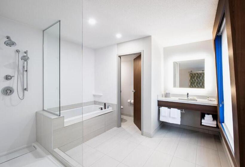 带大床的套房, Holiday Inn Express Hotel & Suites Saskatoon, An Ihg